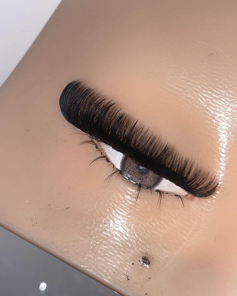 Lash Guide, Strong Cat, Business Launch Party, Lash Maps, Girly Tips, Lashes Fake Eyelashes, Lashes Tutorial, Pretty Lashes, Business Launch