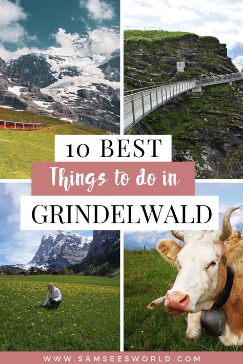 Things To Do In Lauterbrunnen, Things To Do Switzerland, Best Things To Do In Switzerland, Activities In Switzerland, Places To See In Switzerland, Things To Do In Grindelwald Switzerland, Grindelwald Switzerland Summer, Things To Do In Geneva Switzerland, Interlocken Switzerland