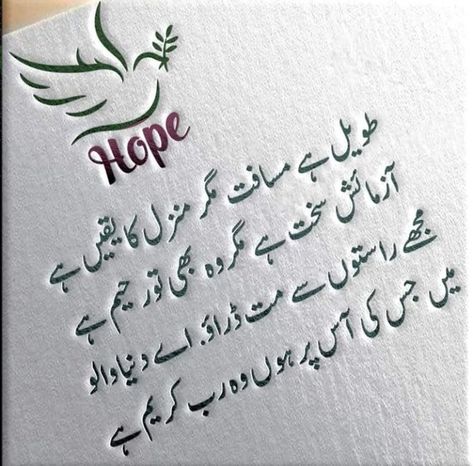 Trending Wallpapers, Whatsapp Profile Wallpaper, Islamic Shayari, Savvy Quotes, Urdu Quotes Images, Impress Quotes, Poetry Ideas, Halloween Wallpapers, Allama Iqbal