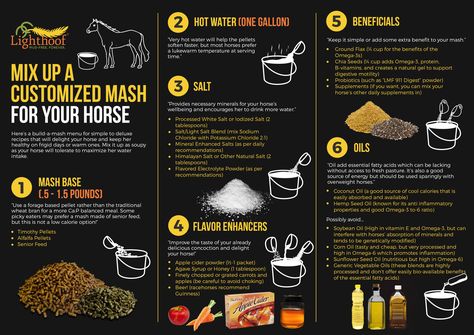 Lighthoof: Build-a-Mash Infographic | HORSE NATION Horse Mash Recipe, Horse Food Ideas, Horse Nutrition, Wheat Bran, Equine Care, Horse Information, Horse Food, Healthy Horses, Mash Recipe