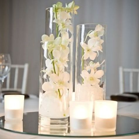 orchid asymmetric vases Clear Vase Decor, Cylinder Centerpieces, Glass Vase Wedding Centerpieces, Glass Vase Flower, Table Centerpieces Diy, Glass Vase Decor, Orchid Centerpieces, Glass Cylinder Vases, Clear Vase