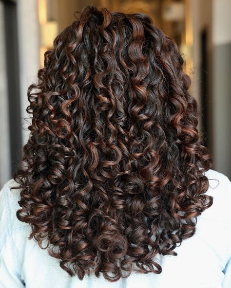 15 Best Curly Hairstyles to Inspire You Curly Highlights, Dark Curly Hair, Dyed Curly Hair, Natural Curly Hair Cuts, Highlights Curly Hair, Brown Curly Hair, Curly Hair Photos, Dark Hair With Highlights, Colored Curly Hair