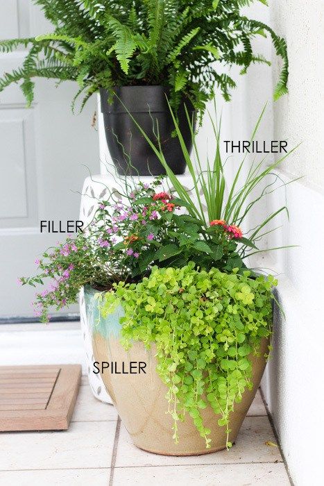 Use the thriller, filler, and spiller method when planting in pots for a gorgeous finished look. Planting In Pots, Summer Flower Pots, Potted Plants Patio, Porch Plants, Patio Flowers, Porch Flowers, Planting Pots, Potted Plants Outdoor, Container Gardening Flowers