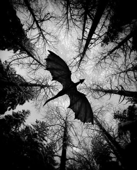 Black And White Fantasy Aesthetic, Fantasy Dragons Aesthetic, Dark Fantasy Aesthetic Pictures, Dragon Dark Aesthetic, Dark Mythology Aesthetic, Shadow Daddy Fanart, Tristencore Aesthetic, Hunter Aesthetic Fantasy, Dragon Aesthetic Black