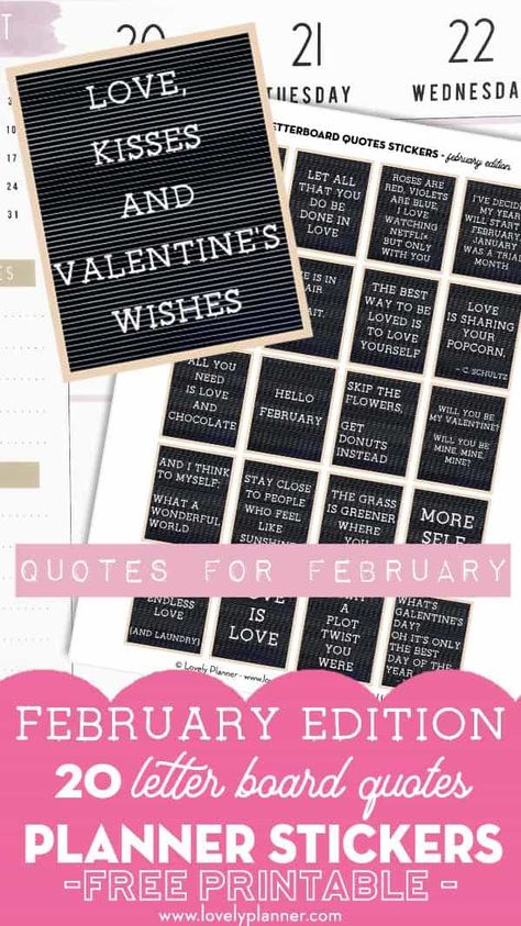 February Sayings Quote, Funny February Letterboard, February Felt Board Quotes, Valentines Felt Board Quotes, February Message Board Quotes, February Letter Board Quotes Funny, February Letterboard, Valentine Letter Board Ideas, Valentines Letter Board Quotes