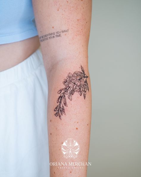 Taylor swift inspired tattoo   #taylorswift #tattooinspo #fineline #miami #femaleartist #tattoo #finelinetattoo #Blackwork #linetattoo #flowertattoo #girlytattoo #cutetattoo Taylor Swift Small Tattoos, Wisteria Tattoo, Wisteria Branch, Girly Tattoo, Taylor Swift Tattoo, Blackwork Tattoos, Botanical Tattoo, Girly Tattoos, Make An Appointment