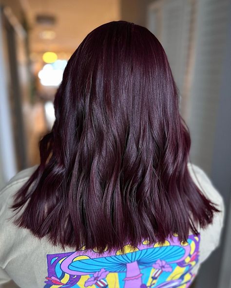 Black Cherry Short Hair, Cherry Black Hair Color, Dark Cherry Hair, Hair Color Cherry Coke, Pelo Color Borgoña, Pelo Color Vino, Black Cherry Hair Color, Plump Hair, Black Cherry Hair