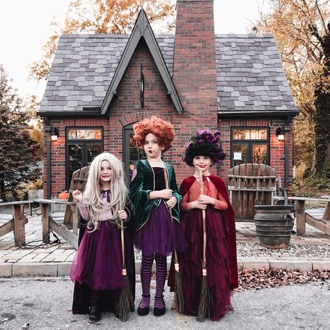 31.8k Likes, 1,065 Comments - Jessica Garvin (@jlgarvin) on Instagram: ““SISTERS! We’ve been gone three hundred years!” -Winifred Sanderson 🕸✨ Happy Halloween from the…” Baby Chicken Costume, Jessica Garvin, Sibling Halloween Costumes, Sibling Costume, Winifred Sanderson, Chicken Costumes, Bunny Halloween Costume, Trio Halloween Costumes, Lion Costume