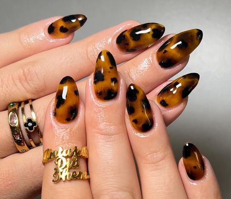 Tortoise Shell Nails Almond, Almond Nails Tortoise, Brown Almond Nails Design, Tortoiseshell Nails, Tortoise Nails, Nails September, Shell Nails, Classic Nail Art, Glossy Nails