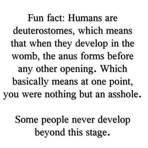 Deuterostomes..... Funny Pins, Fun Fact, Bones Funny, The Words, I Laughed, Just In Case, Me Quotes, Words Of Wisdom, Fun Facts