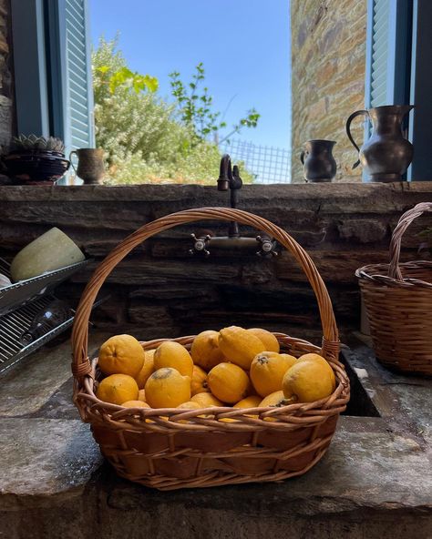 Katharine Sohn on Instagram: "food lately part two 1. lemon posset in an actual lemon made by @_sappho_ 2. the sweetest apricots picked that day in a basket at a beach…" Lemon Basket, Water And Lemon Aesthetic, Lemon And Lime Aesthetic, Picking Lemons Aesthetic, Oranges And Lemons Aesthetic, Water With Lemon Aesthetic, Mediterranean Aesthetic, Margherita Pizza, Pizza Night