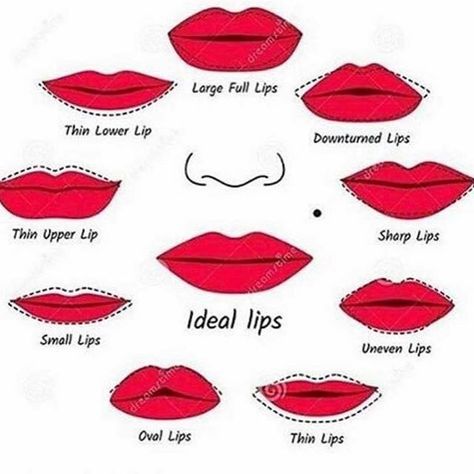 Comment your ideal lip shape 👄 Makeup Tips Lips, Heart Shaped Lips, Lip Tips, Small Lips, Makeup 101, Smink Inspiration, Pinterest Makeup, Lips Drawing, Lip Shapes