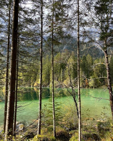 leaving my favorite place for the next big adventure 🇨🇦 #bayern #dessammamia #mountains #zugspitze #lake #nature #love #home #canada #adventure Small Town Life Aesthetic, Lake Aesthetic, Forest Life, Small Town Life, Pretty Landscapes, At Peace, Peaceful Places, Nature Garden, Big Adventure