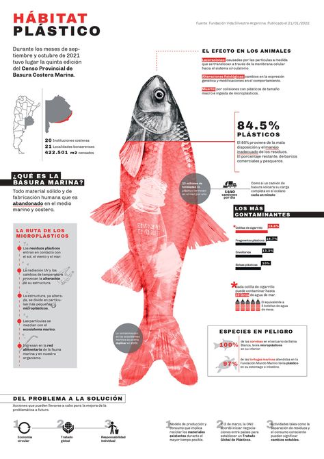 Creative Information Design, Poster For Product Design, Fruit Infographic Design, Scientific Article Design, Research Infographic Design, Fun Infographic Design, Q&a Layout Design, Cool Infographic Design, Theory Of Change Infographic