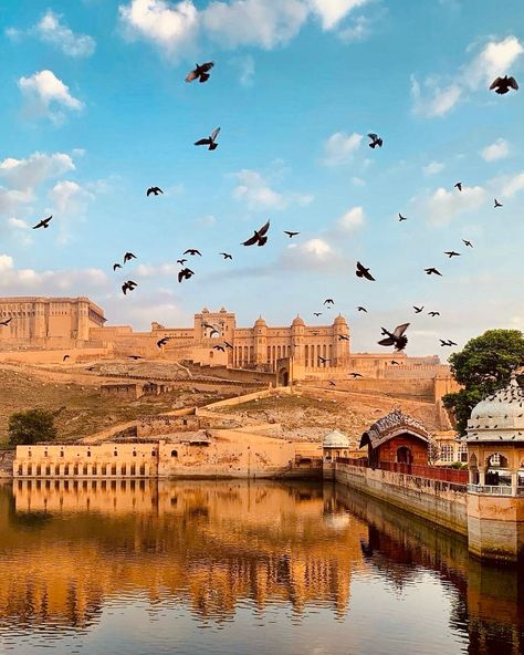 Postcards on the way🌅 . . . . #jaisalmerdiaries #jaisalmerfort #clothingbrands #printsforsale Amer Fort Jaipur, City Palace Jaipur, Jaipur Travel, Amber Fort, Amer Fort, India Travel Places, India Architecture, Pink City, Pre Wedding Shoot