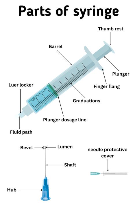 Parts of Syringe Names - Picture Vocabulary Nursing Vocabulary, Medicine Information, Biology Vocabulary, Doctor Tools, Picture Vocabulary, Medical Assistant Student, Medical Tools, Nursing School Essential, Quiz With Answers