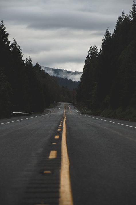 Wallpapers For Android Phone, Empty Road, Misty Forest, Forest Landscape, Packing Tips For Travel, Travel Alone, Photoshop Lightroom, Scenic Views, Hd Images