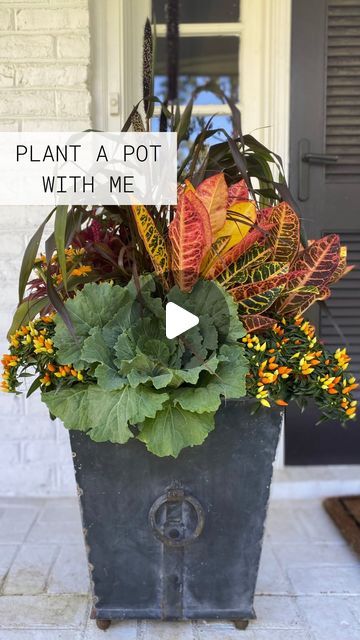 Fall Planters With Cabbage, Croton Planter Ideas, Fall Planter Arrangements, Croton Arrangement, Fall Container Ideas, Fall Urn Planter Ideas, Fall Flower Pots Front Porches, Fall Planters Outdoor, Fall Outdoor Planter Ideas