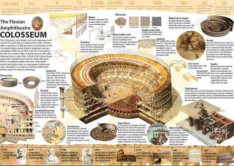 Site Analysis Drawing, Colosseum Architecture, Architecture Infographic, Architecture Journal, Roman Colosseum, History Infographic, Istoria Artei, History Posters, Desain Editorial