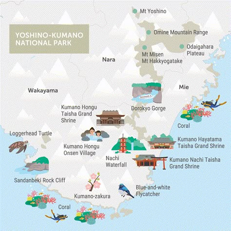 NATIONAL PARK - The Official Wakayama Travel Guide Wakayama Japan, Aeolian Islands, Enjoy Your Trip, Tourism Website, Natural Playground, Wakayama, Cycling Route, Gourmet Foods, Hotel Booking