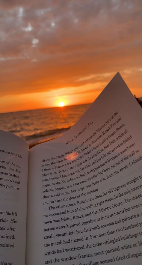 I’m reading a good book at sunset on the beach Vision Board Images, Beach Books, Book Wallpaper, Meaningful Connections, Pretty Landscapes, Tapeta Pro Iphone, Images Esthétiques, Beach Reading, Sunset Pictures