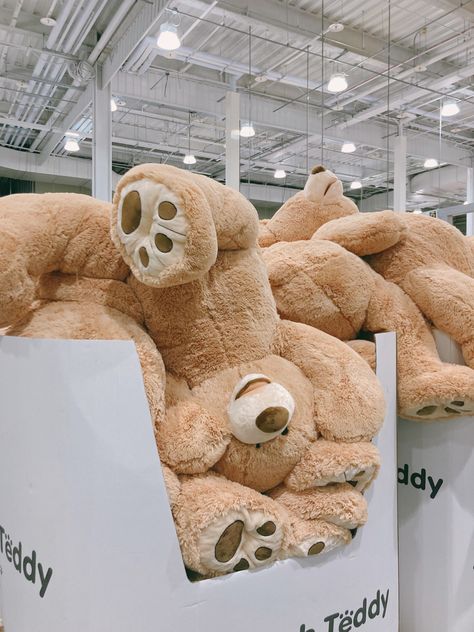 #teddy bear #christmas #daily #costco Costco Bear, Teddy Bear Christmas, Bear Christmas, Teddy Bear, Toys, Christmas