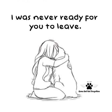 I Lost My Dog Again, I Miss You Dog, My Dog Died Today, Doggy Heaven Quotes Miss You Dogs, Missing My Dog Quotes, Miss My Dog Pet Loss, Losing Dog Quotes, I Miss My Dog Pet Loss, Lost Pet Quotes Dogs