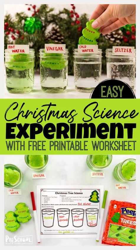 Kids will love this simple dissolving holiday peeps activity to learn science while having fun. This fun christmas activities for preschoolers, kindergartners, and grade 1 students is a great way to sneak an easy christmas science experiment in during the month of December.  Plus it includes a free printable christmas worksheet to extend the learning! Peeps Activities, Christmas Science Experiments For Kids, Christmas Activities For Preschoolers, Free Printable Christmas Worksheets, Christmas Activites, Paper Bag Puppet Craft, Christmas Worksheet, Christmas Science Activities, December Art