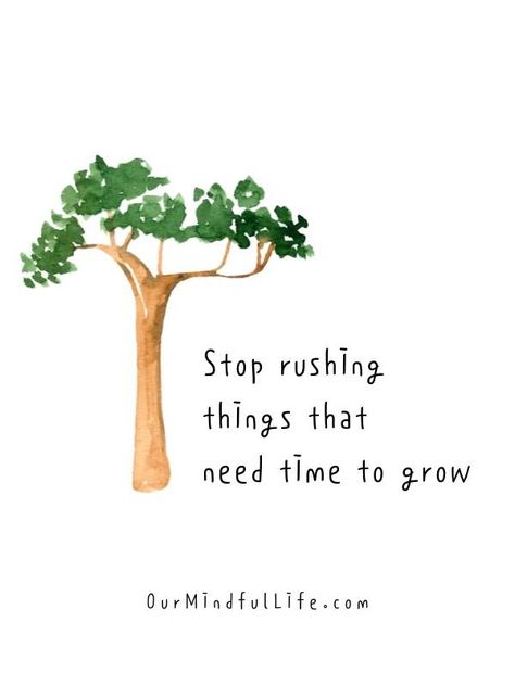 Rushing Things Quotes, Not Rushing Quotes, Time To Grow Up Quotes, Growth Quotes Short, Watering Quotes, Quotes About Contentment, Food For Thought Quotes, Quotes About Growing Up, Use Time Wisely