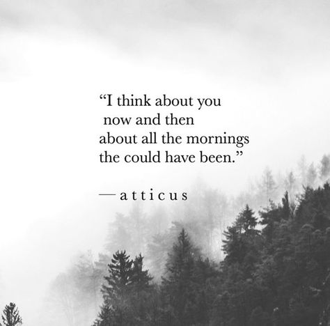 Atticus Poetry on Twitter: "'Now & Then' #atticuspoetry #thedarkbetweenstars… " Could Have Been, Could Have Been Quotes, Atticus Quotes, Atticus Poetry, Spirit Buttons, Fine Quotes, Missing You Quotes, Life Sentence, Poem Quotes