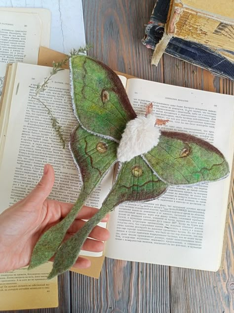 Felt Luna Moth, Needle Felted Insects, Green Felt Crafts, Needle Felted Butterflies, Needle Felted Moth, Needle Felted Butterfly, Needle Felting Art, Felted Dragonfly, Felted Moth