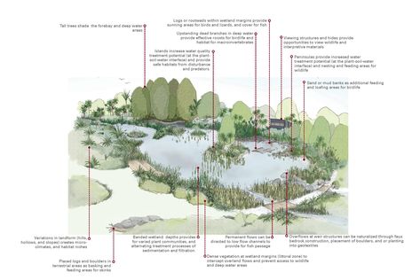 ARC Stormwater Management Guidelines | Boffa Miskell Stormwater Management Design, Icon Reference, Concept Diagrams, Waterfront Architecture, Retention Pond, Landscape Architecture Graphics, Storm Water, Stormwater Management, Apollo Bay