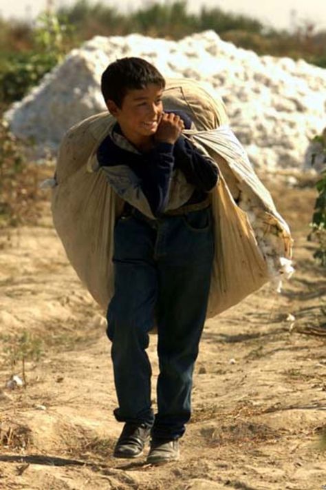 Profits made on the back of child labour: report Child Worker, Children Working, Child Labour, Cotton Fields, Kids Around The World, Forced Labor, Poor Children, We Are The World, Third World