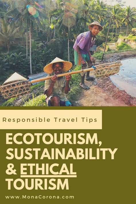 Responsible Tourism Tips for being a more responsible traveler. Ecotourism, sustainability, ethical tourism, & socially responsible travel tips. Travel guide for green travel, ecotourismo, ecolodge, green hotels, local culture, voluntourism, eco-friendly travel, ecofriendly hotel, sustainable hotels, eco resort, carbon offset programs & reducing carbon footprint. Best benefits of responsible travel. Bali, Costa Rica, Tulum, Thailand, Mexico, Indonesia, Vietnam, USA, #ecotourism #travel #tips #ad Ig Stickers, Eco Tourism, Travel Bali, Ethical Travel, Eco Resort, Responsible Tourism, Eco Travel, Green Travel, Carbon Offset