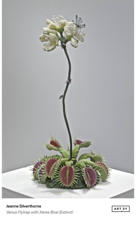 Venus Flytrap with Xeres Blue (Extinct) by Jeanne Silverthorne on Artsy https://www.artsy.net/artwork/jeanne-silverthorne-venus-flytrap-with-xeres-blue-extinct?utm_content=artwork-share Red Venus Fly Trap, Venus Fly Trap Sculpture, Venus Flytrap Aesthetic, Dnd Wedding, Venus Flytrap, Fly Trap, Venus Fly Trap, Carnivorous Plants, Fairytale Art