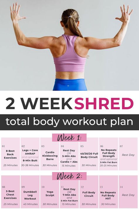 Download your FREE, 2-Week Workout plan today! You get access to 12 days of full-length videos on Youtube where CPT Lindsey will coach you through every sweaty rep of each workout! All you need is a set of dumbbells and 30 minutes a day! You got this! Weekly Body Weight Workout Plan, 2 Week Full Body Workout Challenge, 3-2-8 Workout Method, Get In Shape In 2 Weeks, One Week Workout Challenge, Best Youtube Workouts At Home, 3 Week Workout Plan, Workout Plan Women, 2 Week Shred