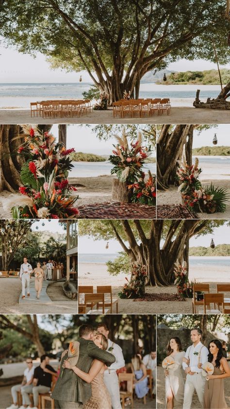 Boho Jungle Wedding, Wedding In Costa Rica, Costa Rica Wedding Colors, Costa Rica Wedding Decor, Costa Rica Destination Wedding, Costa Rica Wedding Venues, Dreams Las Mareas Costa Rica Wedding, Costa Rican Wedding, Costa Rica Beach Wedding