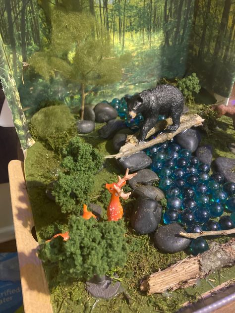 Shoe Box Diorama Forest, Temperate Forest Biome Project, Dinosaur Cave, Shoe Box Diorama, Temperate Deciduous Forest, Shoebox Project, Temperate Forest, Biomes Project, Deciduous Forest