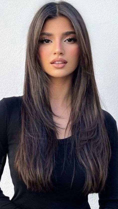 Hair Cuts Girls Long, Haircut Inspo Long Straight, Hair Cuts For Straight Hair Medium Long, Cute Hair Cuts For Girls Straight, Layers On Straight Hair Long, Pin Straight Hair With Layers, Hair Cut 2024 Girl, Hair Cuts Straight Hair Long, Long Layers For Straight Hair