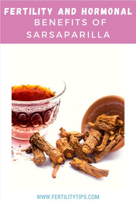 The sarsaparilla herb, also known as Smilax officinalis, has been used medicinally for thousands of years by the tribes of South and Central America for many purposes. The concentration of beneficial phytochemicals purifies the blood. This leads to many other positive health effects, but less known are sarsaparilla's effects on hormones and fertility. Natural Decongestant, Liver Detoxification, Dr Sebi, Herbs For Health, Homeopathic Medicine, Health Knowledge, Healing Herbs, Hormone Balancing, Health Facts