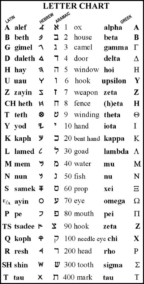 Paleo Hebrew Alphabet, Ancient Hebrew Alphabet, Learn Hebrew Alphabet, Hebrew Language Learning, Hebrew Vocabulary, Hebrew Writing, Hebrew Language Words, Paleo Hebrew, Ancient Alphabets