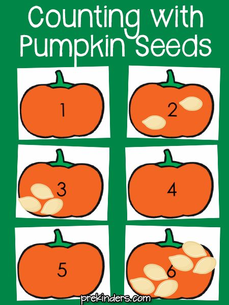 Counting with Pumpkin Seeds Pumpkin Positional Words, Pumpkin Cognitive Activities Preschool, Pumpkin Seed Counting Activity, Pumpkin Seed Activities For Preschool, Pumpkin Seed Counting, Pumpkin Lesson Plans, Pumpkin Activities Preschool, October Lesson Plans, Pumpkin Math Activities