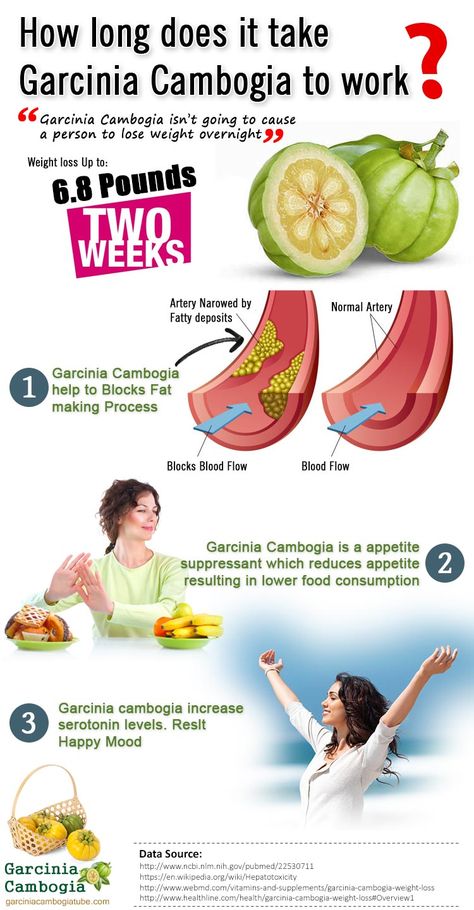 How Long Does It Take For Garcinia Cambogia To Work Garcinia Cambogia Results Before And After, Forskolin Benefits, Artemisia Annua, Lean Belly, Healthy Dog Treat Recipes, Diet Vegetarian, Garcinia Cambogia, Diet Pills, Homeopathy