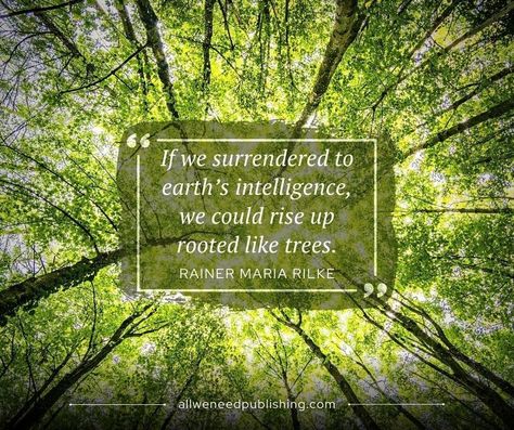 Permaculture Quotes, Rainer Maria Rilke Quotes, Rilke Quotes, Inner Garden, Rainer Maria Rilke, Cob House, She Quotes, 2024 Calendar, Life Lesson