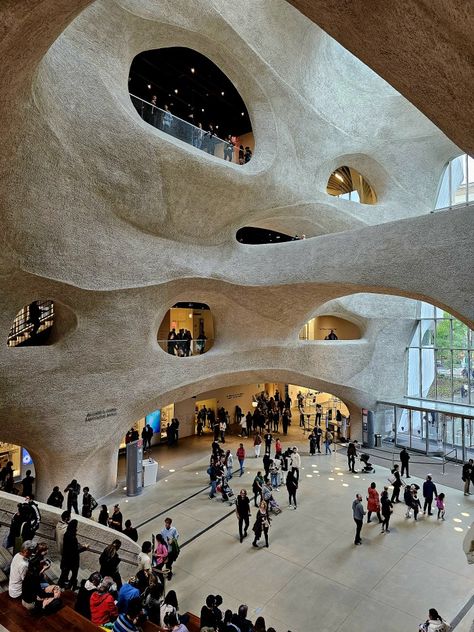 New Wing in the American Natural History Museum. New York City. New York City Museums, Historical Thinking, Peabody Museum, Museum Plan, Museums In Nyc, Human Remains, American Museum Of Natural History, York Aesthetic, Visiting Nyc