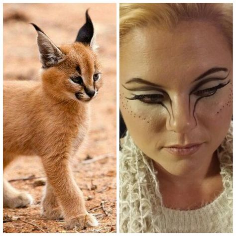 Cute Animal Halloween Makeup, Lion Inspired Makeup, Feline Makeup Look, Animal Makeup Ideas, Realistic Cat Makeup, Animal Eye Makeup, Bastet Makeup, Cat Makeup Looks Halloween, Cute Animal Makeup