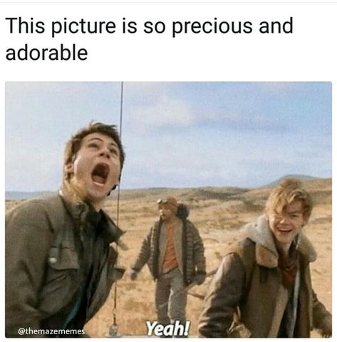 Dylan Obrien And Thomas Brodie Sangster, Newt And Thomas Maze Runner, Maze Runner Fanfiction, The Maze Runner Thomas, Thomas Maze Runner, Maze Runner Newt, Maze Runer, The Glade, Maze Runner Thomas