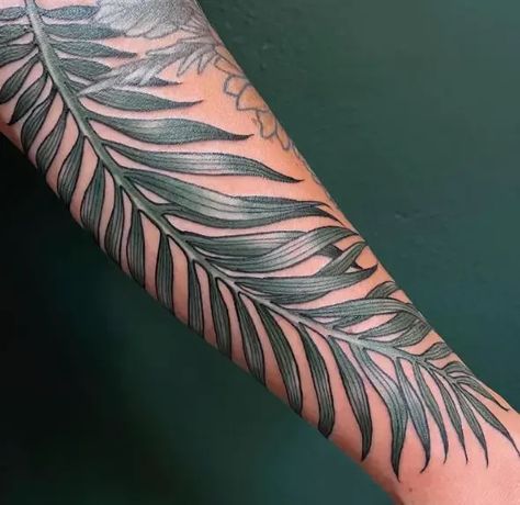 Palm Leaf Tattoo Arm, Palm Tree Tattoos For Women On Arm, Palm Tree Leaves Tattoo, Palm Frond Tattoos, Palm Tree Leaf Tattoo, Palm Leaves Tattoo, Tropical Leaves Tattoo, Palm Leaf Tattoo, Palm Tree Tattoo Ideas