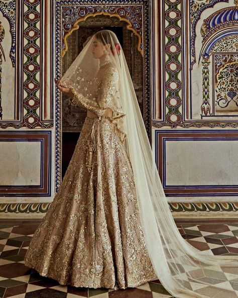 Presenting the Champagne Gold Embroidered Lehenga Set is a masterpiece of luxurious design. Ideal for a bride or bride-to-be, this lehenga offers the perfect blend of tradition and regality. Find it on Fabilicious 🌟 WhatsApp us on +91 99992 89222 for any queries 🌟Made to Measure 🌟Personal service with VC for measurements 🌟 Trusted Brand #indianwedding #indiandesigner #weddingcollection #new #newcollection #indianwedding #sangeet #saree #print #printed #sangeetlehenga #ethnicwear #han... Indian Wedding Reception Outfits, Head Veil, Net Lehenga Choli, Wedding Reception Outfit, Reception Outfits, Gold Lehenga, Bridal Lehenga Red, Net Lehenga, Embroidered Lehenga