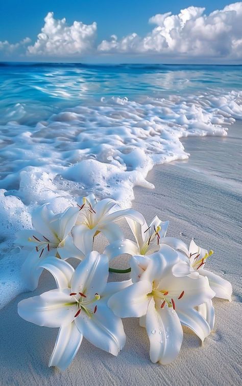 Prompt 👉Bouquet of white lilies lying on white sand washed by foamy turquoise surf wave, fantastic, photorealistic picture, tumblr, breathtaking beautiful white beach, detailed lily flowers, wonderful reflection of the sky, close-up!!!!!! Fantastic beautiful wallpaper on iPhone]r 👉 if Like, please Follow and Share AI Graphics Studio 👇Contact on WhatsAPP: http://tiny.cc/aigraphicsstudio #aigraphicsstudio #AI #DigitalMarketing #digitalartist #digitalart #digital #creativephotography #designin... Best Pictures For Wallpaper, Beach Flowers Wallpaper, Beautiful Ocean Wallpapers, Cute Pictures For Wallpapers, White Lilies Wallpaper, Cute Whatsapp Wallpaper, Followers Wallpaper, Lily Flowers Wallpaper, Flowers For Wallpaper